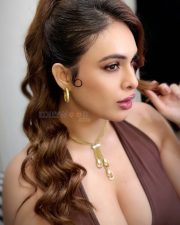 Sexy Indian Model Neha Malik in a Chocolate Brown Halter Neck Maxi Dress Pictures 07