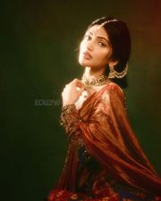 Sexy Natural Beauty Sreeleela in a Colourful Radha Inspired Lehenga Photos 03