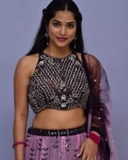Subhasree Rayaguru at Rudraveena Movie Press Meet Photos 05