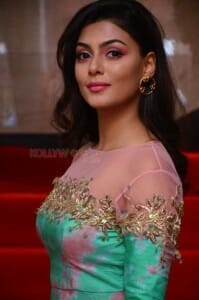 Telugu Actress Anisha Ambrose Photos 16