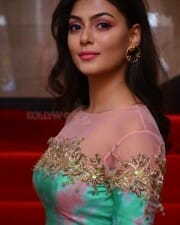 Telugu Actress Anisha Ambrose Photos 16