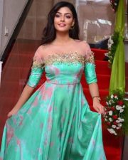 Telugu Actress Anisha Ambrose Photos 22