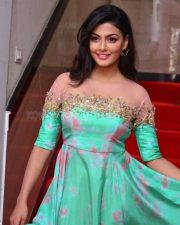 Telugu Actress Anisha Ambrose Photos 23