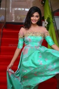 Telugu Actress Anisha Ambrose Photos 27