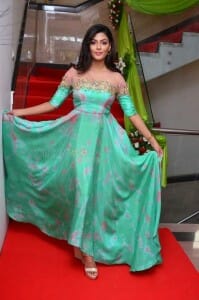 Telugu Actress Anisha Ambrose Photos 28