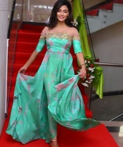 Telugu Actress Anisha Ambrose Photos 29