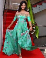 Telugu Actress Anisha Ambrose Photos 29
