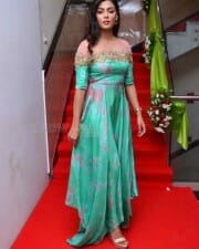Telugu Actress Anisha Ambrose Photos 34