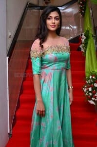 Telugu Actress Anisha Ambrose Photos 35
