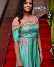 Telugu Actress Anisha Ambrose Photos 36