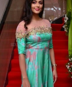 Telugu Actress Anisha Ambrose Photos 36