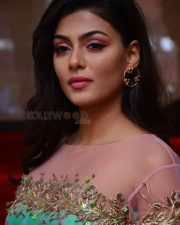 Telugu Actress Anisha Ambrose Photos 38