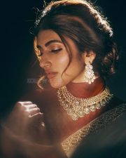 Vibrant Actress Sreeleela in a cream and brown saree Photos 01