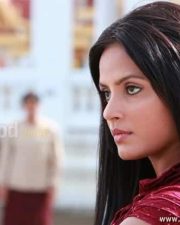 Aadhi Bhagavan Heroine Neetu Chandra Pictures 12