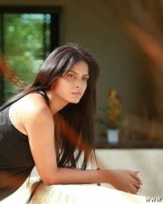 Aadhi Bhagavan Heroine Neetu Chandra Pictures 17