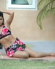 Aarthi Puri Hot Spicy Pics 12