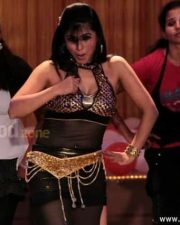 Actress Aarti Puri Spicy Pictures 06