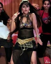Actress Aarti Puri Spicy Pictures 08