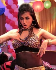Actress Aarti Puri Spicy Pictures 11