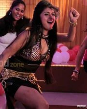 Actress Aarti Puri Spicy Pictures 16