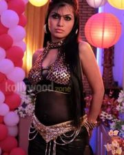Actress Aarti Puri Spicy Pictures 21