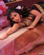 Actress Aarti Puri Spicy Pictures 48