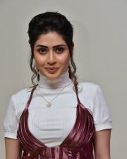 Actress Aishwarya Raj Bhakuni at Sasanasabha Movie Trailer Launch Photos 33