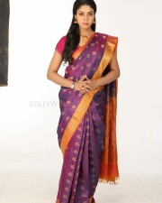 Actress Angana Roy Saree Pictures 01