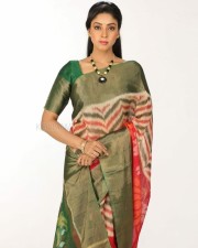 Actress Angana Roy Saree Pictures 02