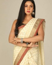 Actress Angana Roy Saree Pictures 04