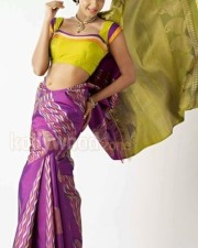 Actress Angana Roy Sexy Photos 12