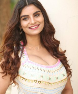 Actress Anveshi Jain At Commitment Movie Trailer Launch Pictures 48