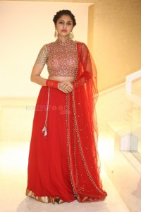 Actress Apsara Gayatri at Gandharwa Movie Pre Release Event Pictures 07
