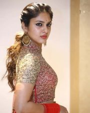 Actress Apsara Gayatri at Gandharwa Movie Pre Release Event Pictures 14