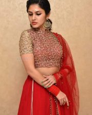 Actress Apsara Gayatri at Gandharwa Movie Pre Release Event Pictures 18
