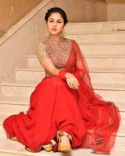 Actress Apsara Gayatri at Gandharwa Movie Pre Release Event Pictures 32