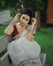 Actress Gayatri Iyer New Photoshoot Pictures 38
