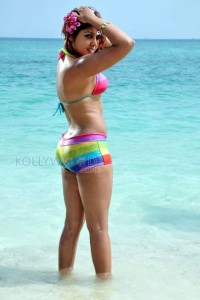 Actress Komal Jha Hot Bikini Photos 02