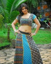 Actress Madhu Sharma Sexy Navel Photos 04