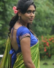 Actress Manisha Yadav Saree Photos 03