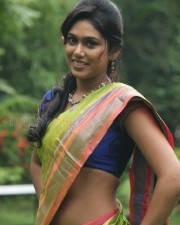 Actress Manisha Yadav Saree Photos 06