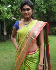 Actress Manisha Yadav Saree Photos 10