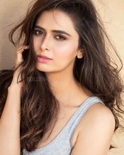 Actress Meenakshi Dixit Photoshoot Pictures 03 Actress Meenakshi Dixit Photoshoot Pictures 03