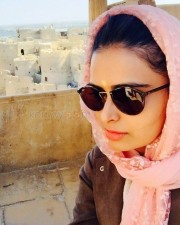 Actress Meenakshi Dixit Sexy Photos 02