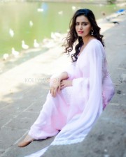 Actress Meenakshi Dixit Sexy Photos 09