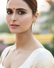Actress Meenakshi Dixit Sexy Photos 10