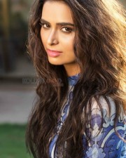 Actress Meenakshi Dixit Sexy Photos 14