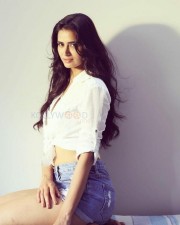 Actress Meenakshi Dixit Sexy Photoshoot Photos 01