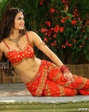 Actress Meenakshi Dixit Sexy Traditional Photos 01