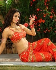 Actress Meenakshi Dixit Sexy Traditional Photos 03